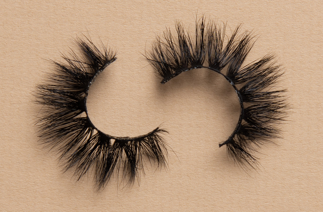 BB01 Lash