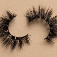 BB01 Lash