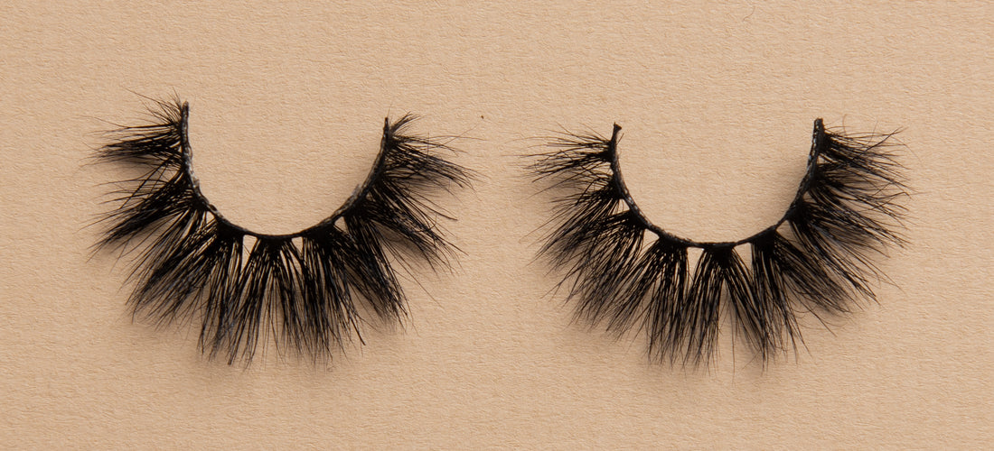 BB01 Lash
