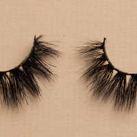 BB01 Lash