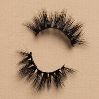 BB02 Lash