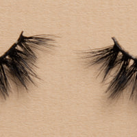 BB02 Lash
