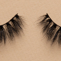 BB03 Lash