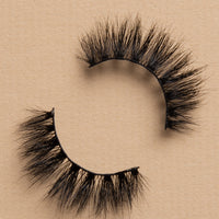 BB03 Lash
