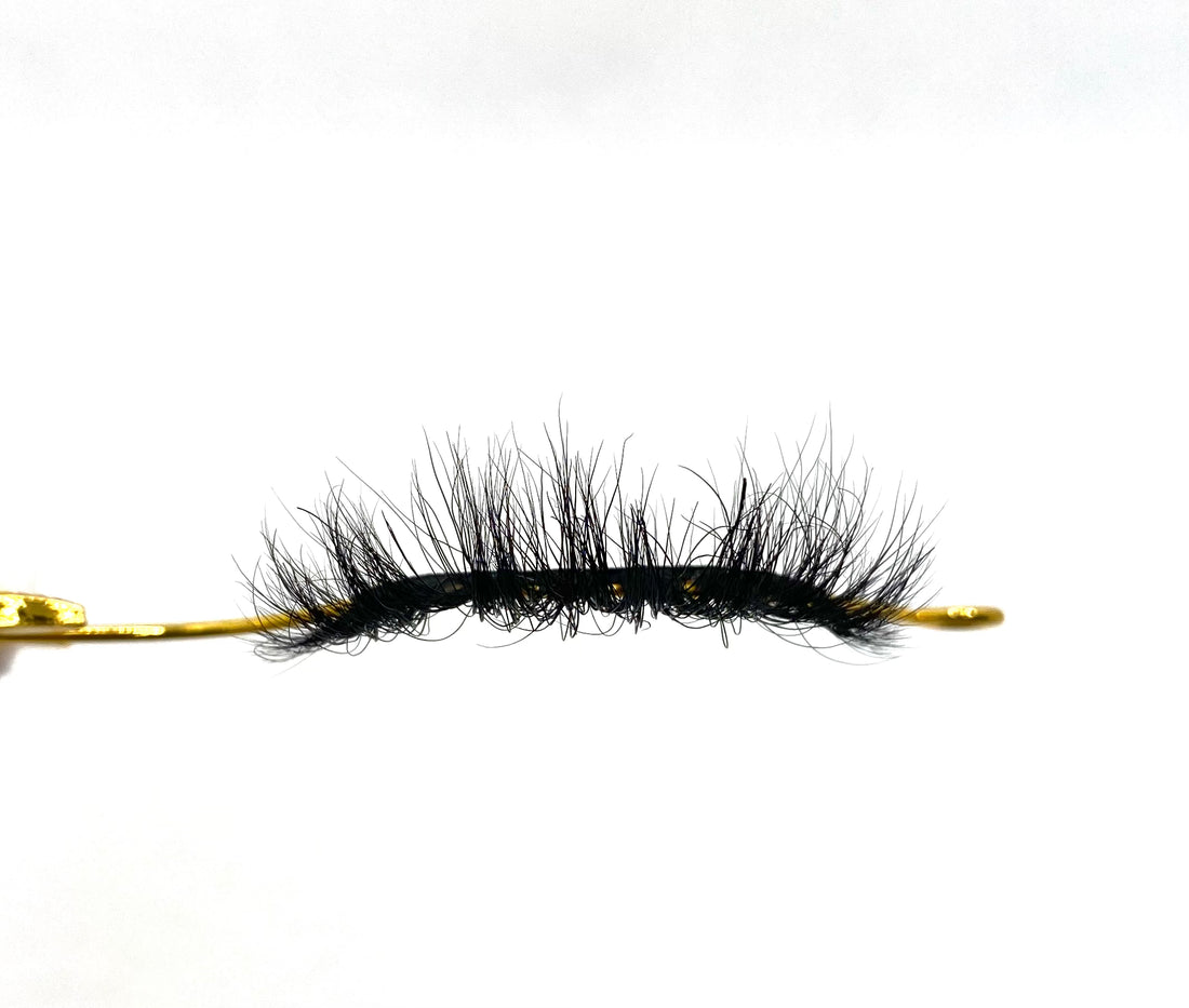 BB01 Lash