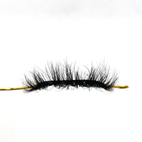 BB01 Lash