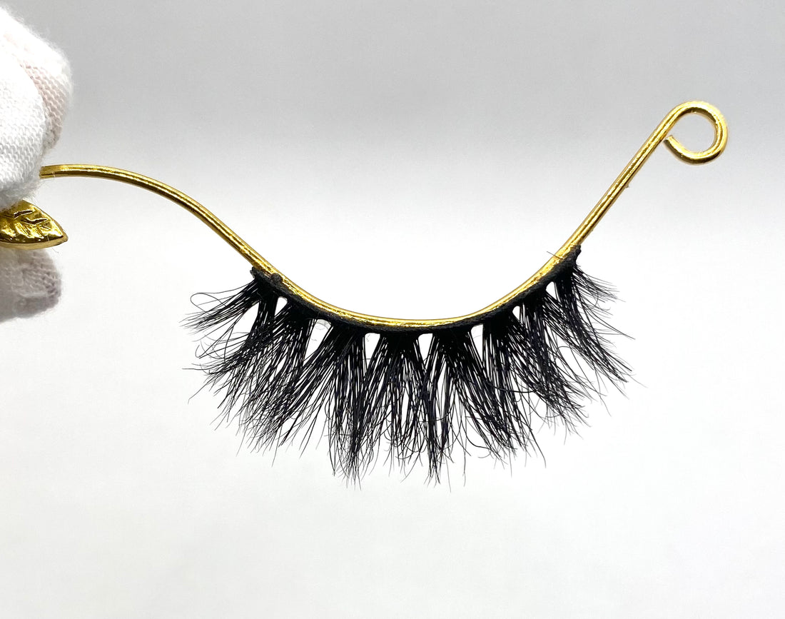 BB01 Lash