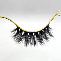 BB01 Lash