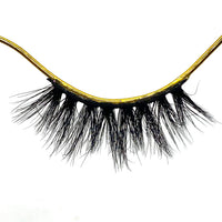 BB02 Lash
