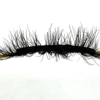 BB02 Lash