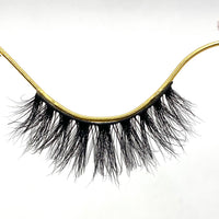 BB03 Lash