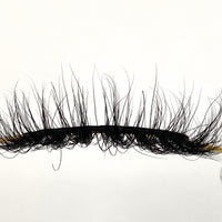 BB03 Lash